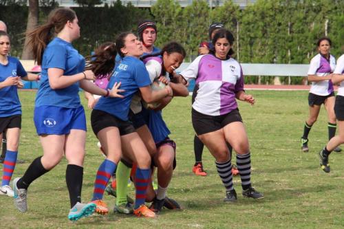 fem (4)